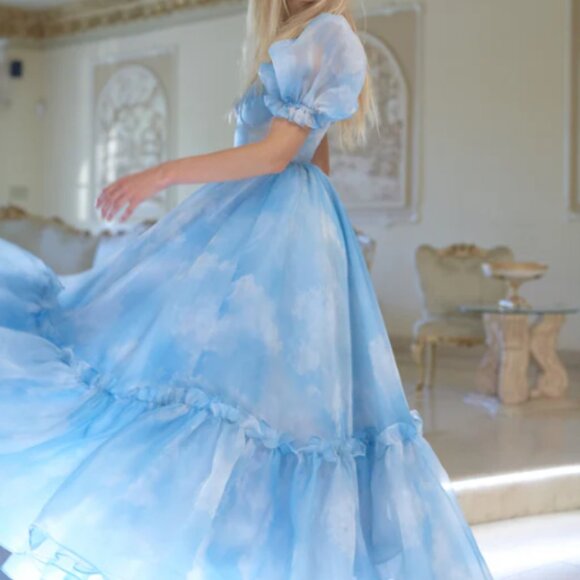 Selkie Ritz Gown - Head in the Clouds - Picture 3 of 6